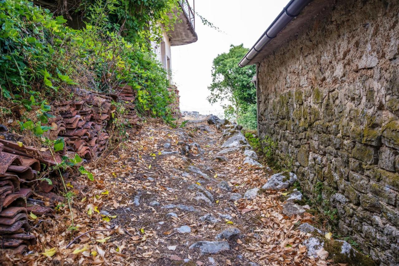Village House Dunja 威尔帕扎 外观 照片