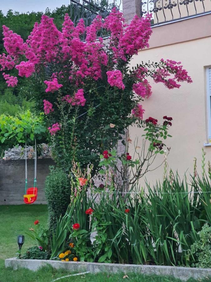 Village House Dunja 威尔帕扎 外观 照片